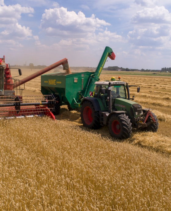 Landbouw
