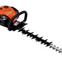 Heggenscharen